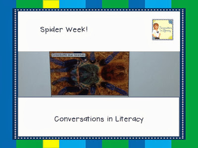 spider from Reading A-Z book