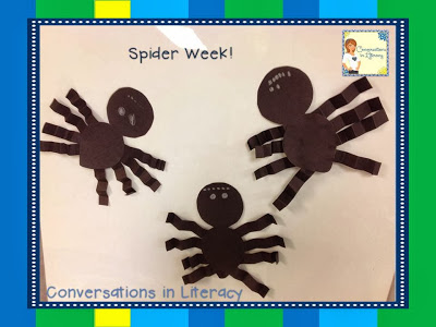 spider activities