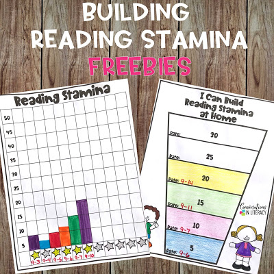 Setting Up Routines and Building Reading Stamina