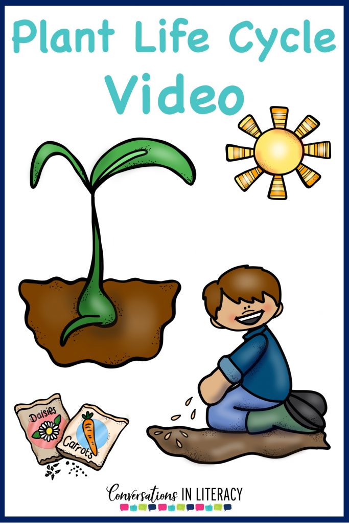 Plant Life Cycle Activities, projects and a FREE printable for your elementary classroom! Science writing activities and fun learning ideas for students. #flipbook #plants #scienceforkids #writingactivities #freeprintables #conversationsinliteracy #kindergarten #firstgrade #secondgrade #thirdgrade kindergarten, first grade, second grade, third grade