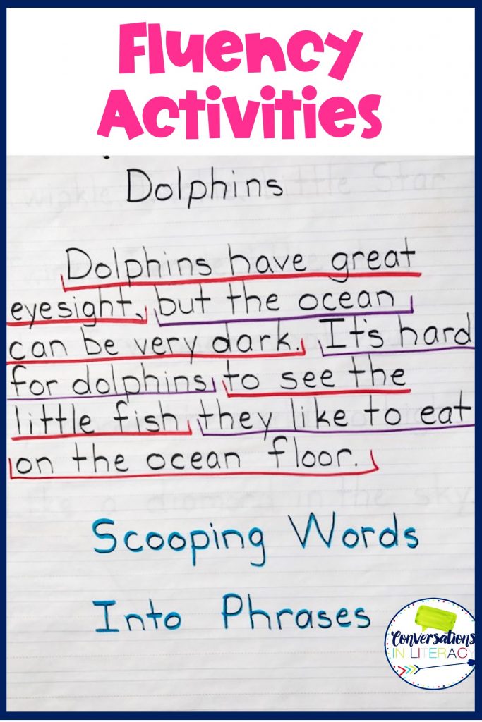 Paragraph about dolphins written on chart paper by Conversations in Literacy