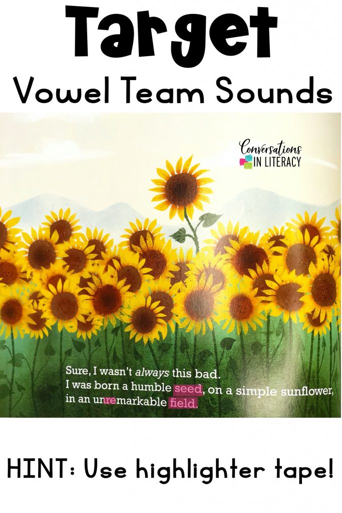 https://conversationsinliteracy.com/wp-content/uploads/2022/04/Phonemic-Awareness-Phonics-to-Target-Vowel-Sounds-pic-5-683x1024.jpg