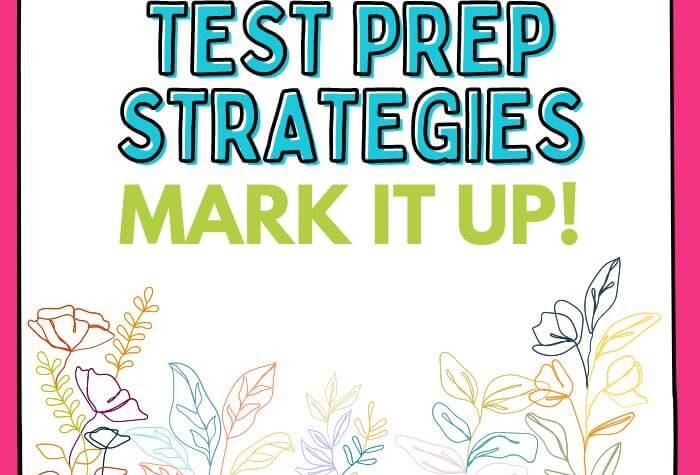 Flower drawings on white background with pink border with title of Test Prep Strategies by Conversations in Literacy